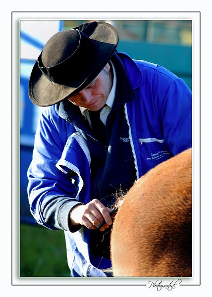 Kerien_18_10_08 n03.jpg - .